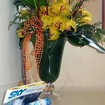 Grazia Hotel Sperlonga